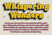 Radey 3D, a Sans Serif Font by Craft Supply Co. (Thumbnail 4 of 8)