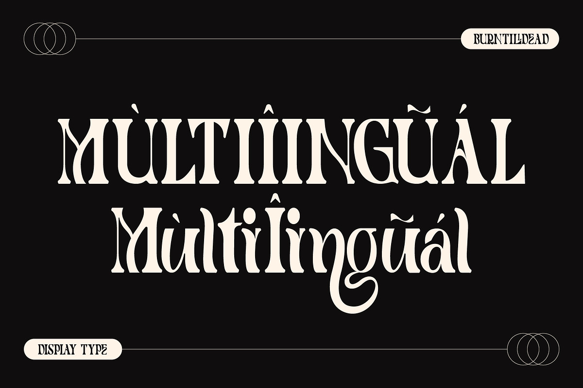 Monde - 100 Ligatures, a Serif Font by Burntilldead (Photo 14 of 16)