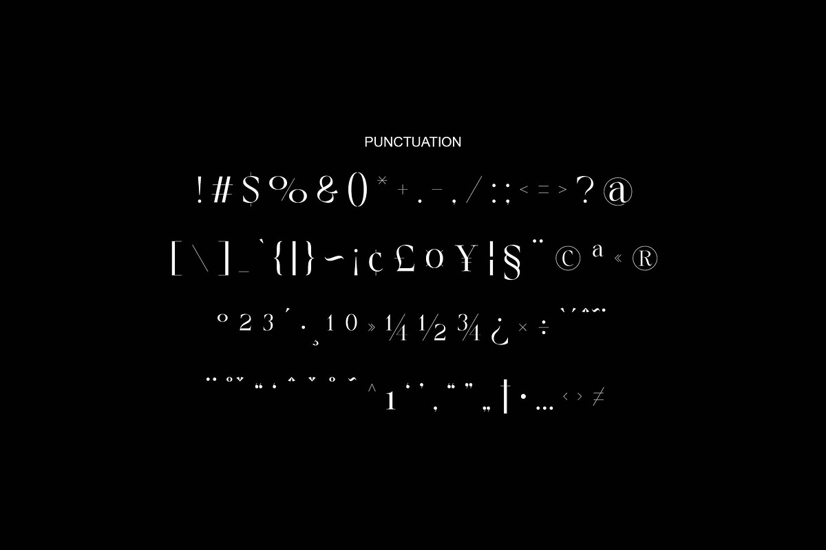 Shader Macalife, a Serif Font by Zelda Graphic (Photo 6 of 8)