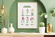 Australian Native Flowers, a Seasonal Illustration by FITALARTSNEDIGI (Thumbnail 5 of 6)