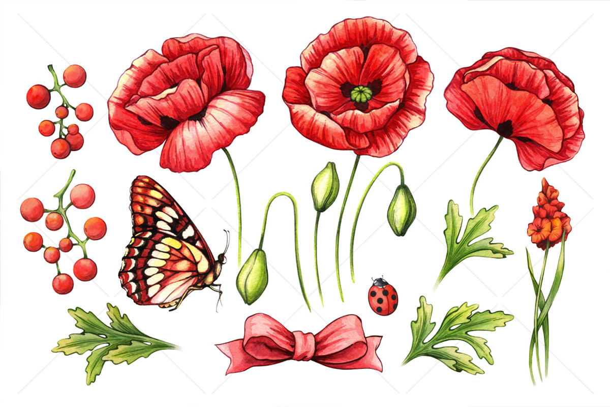 Floral and decor set (red color), a Decorative Illustration by Color and Decor (Photo 2 of 4)