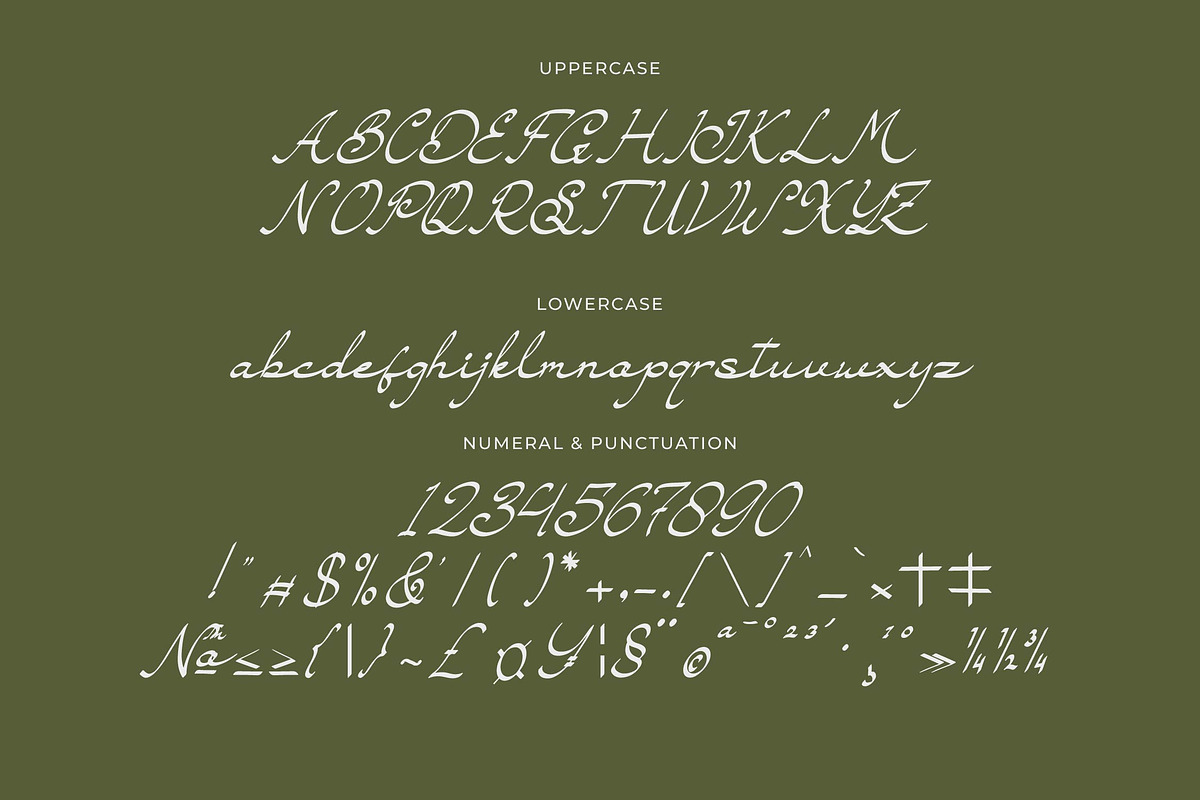 Sandoria Dawnvale Script Font, a Script Font by Denustudios (Photo 11 of 13)