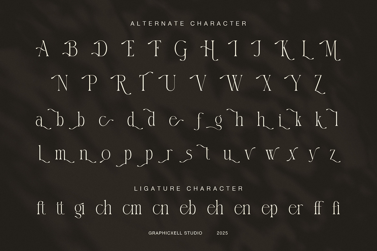 Datte Elegant Serif Display Font, a Serif Font by Graphicxell (Photo 6 of 8)