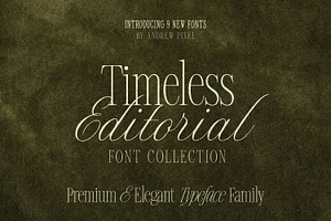 Timeless Editorial - Elegant Serif, a Script Font by AndrewPixelType