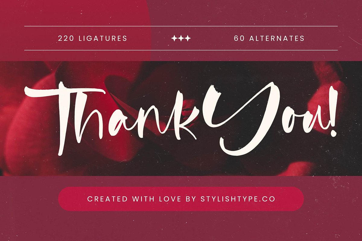 Fainter Bold Brush Font, a Script Font by stylishtype.co (Photo 20 of 20)