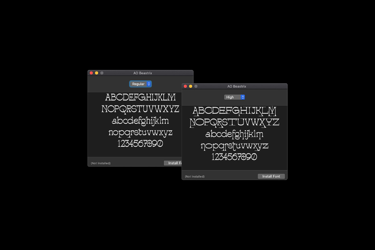 AO Beastrix - Display Typeface, a Font by OwunStudio (Photo 2 of 22)