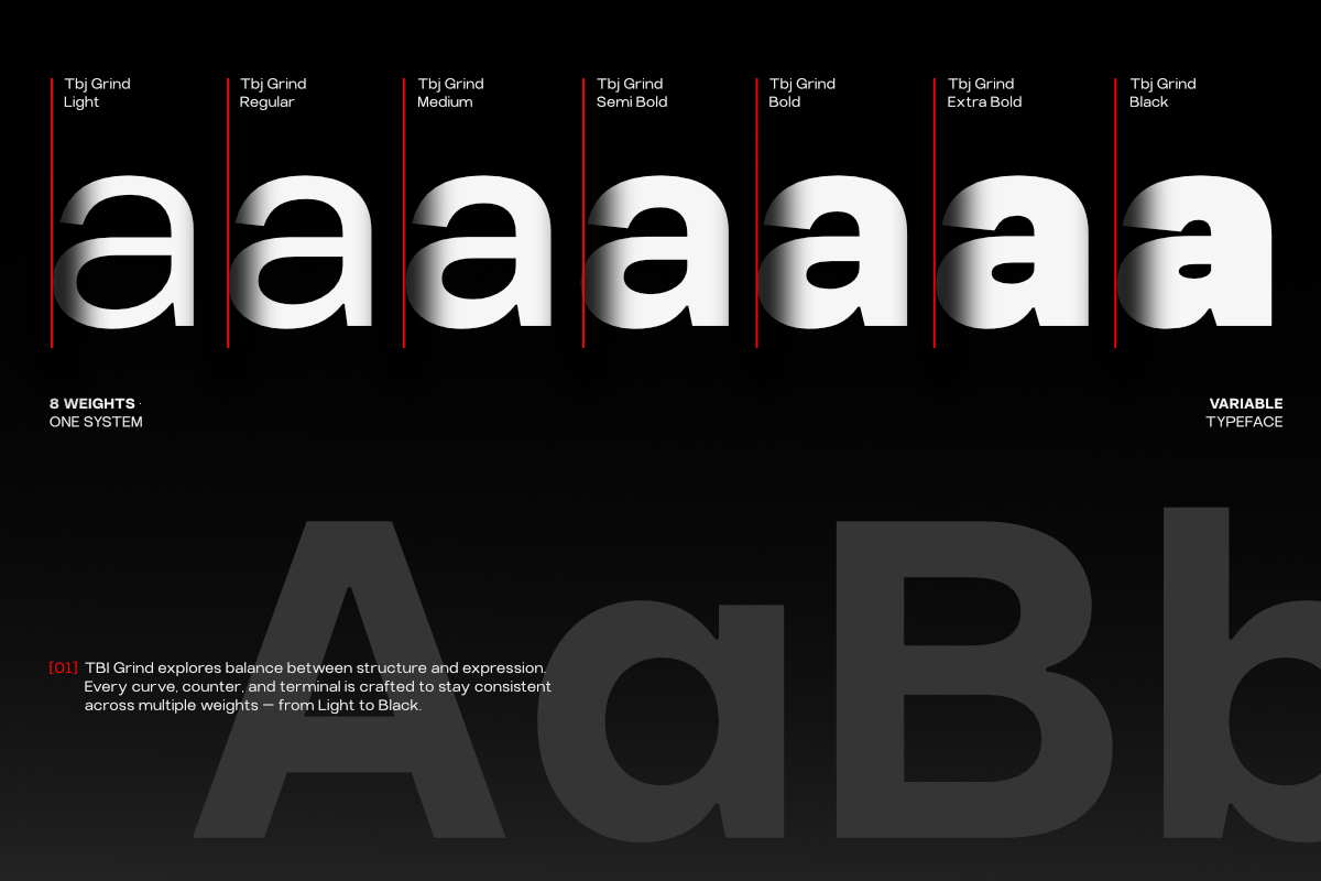 TBJ Elvaro Grotesque Sans Family, a Sans Serif Font by Taboja Studio (Photo 2 of 16)