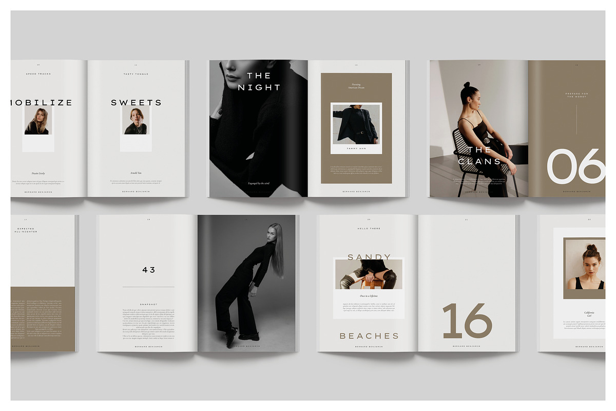 BOTLEY Creative Portfolio, a Magazine Template by Arif Tri Ananta (Photo 8 of 14)