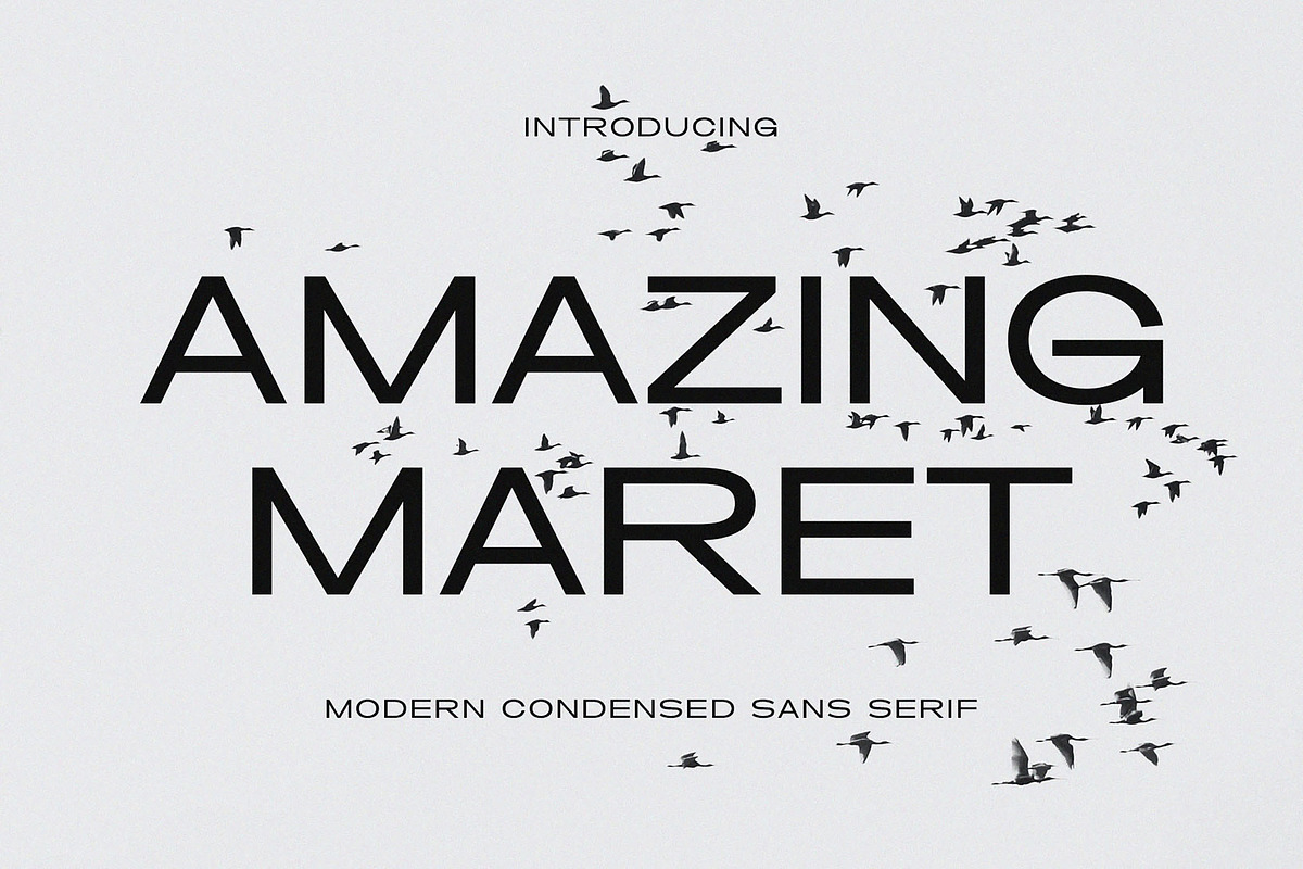 Amazing Maret - Modern Condensed San, a Sans Serif Font by TypeLogue (Photo 1 of 5)