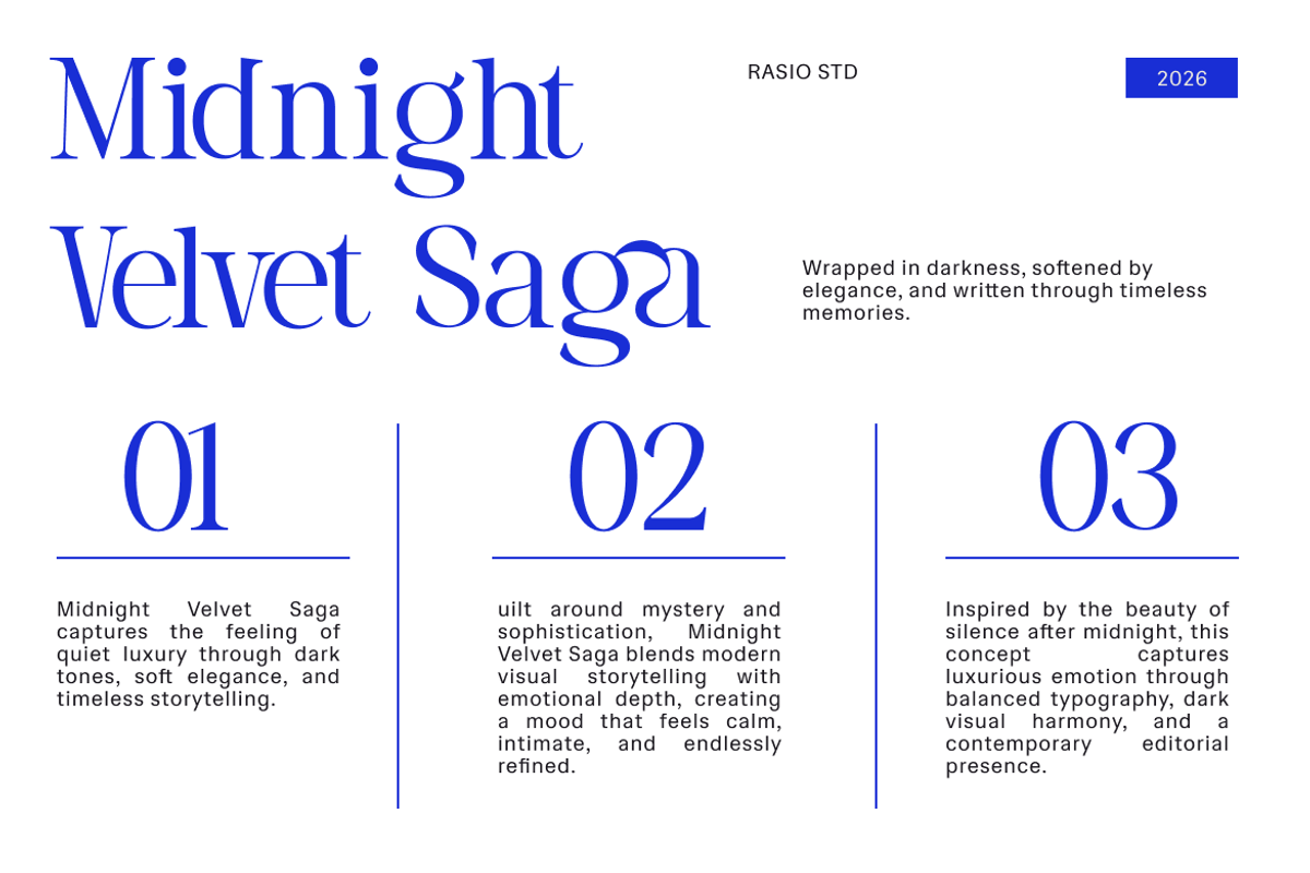 Vorello Modern Editorial Serif Font, a Serif Font by Rasio Studio (Photo 7 of 9)
