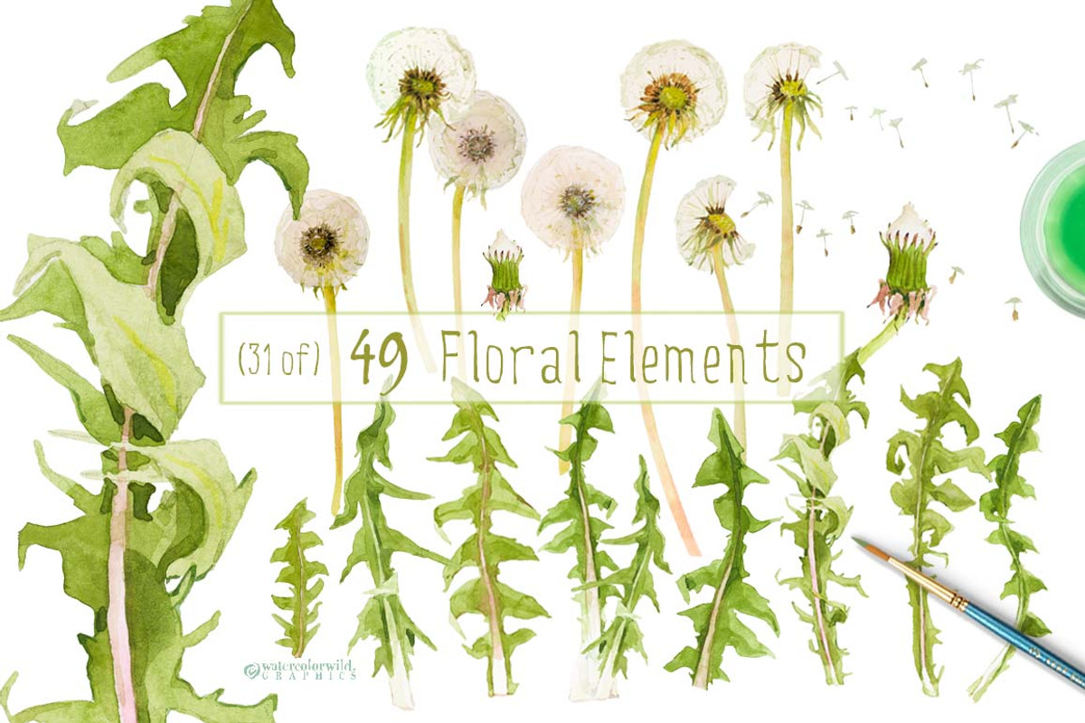 Dandelions-clipart set watercolor, an Illustration by watercolorwild.graphics (Photo 5 of 11)