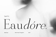 Eaudore - Classy Tall Serif, a Serif Font by Bale Type (Thumbnail 1 of 9)