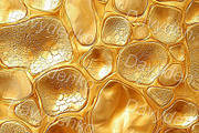 Golden patterns and textures, a Background Graphic by Bubert Art (Thumbnail 3 of 9)