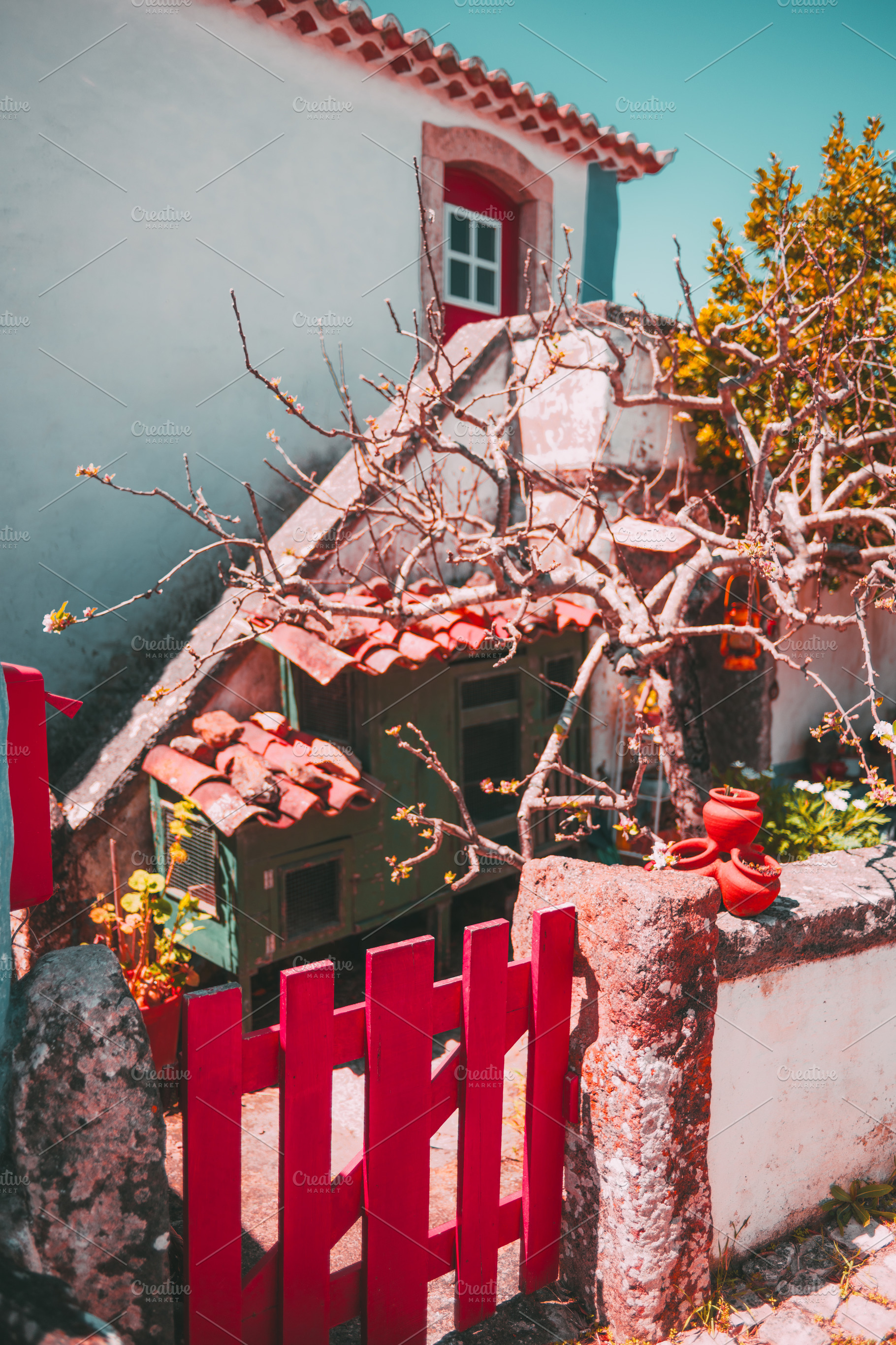Colorful gate in rustic village yard, an Architecture Photo by SkyNext