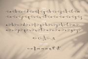 Adriana Juliewis, a Script Font by Integritype Studio (Thumbnail 12 of 14)