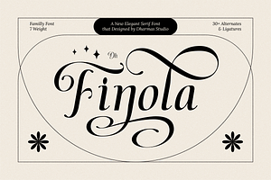 Dh Finola - 7 Elegant Serif Fonts, a Serif Font by Dharmas Foundry