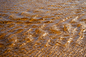 Tannin Water Background, a Nature Photo by THP Creative