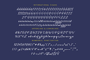 Mention Roberto Modern Brush Font, a Script Font by stylishtype.co (Thumbnail 18 of 20)
