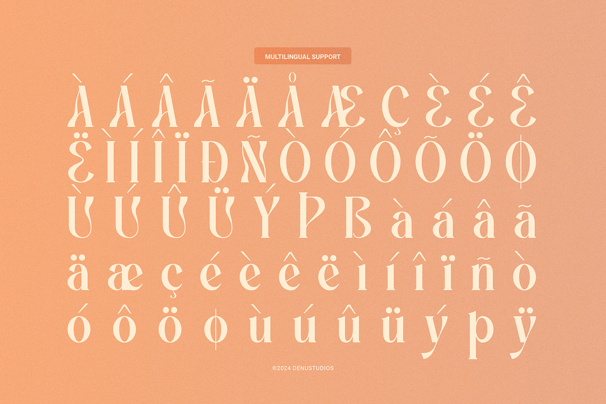 Promised Freyna Modern Display Serif, a Serif Font by Denustudios (Photo 12 of 13)