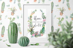 Cacti Watercolor Cactuses Clipart