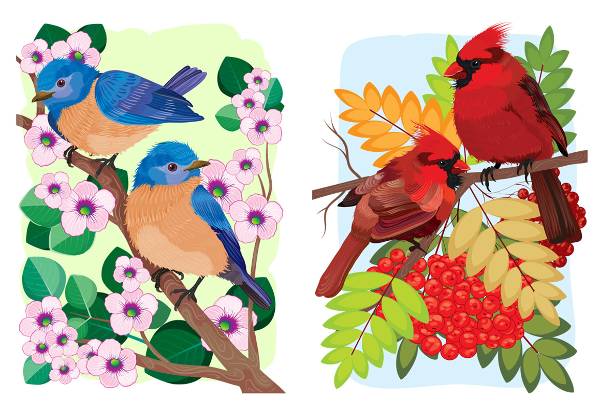 Bird vector set, an Illustration by Kopirin (Photo 4 of 8)