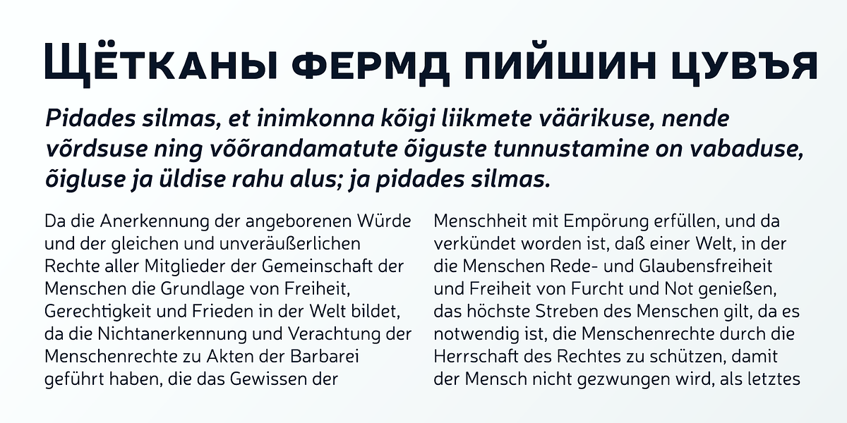 Neris, a Sans Serif Font by Eimantas Paskonis (Photo 5 of 9)