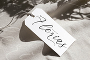 Saltngos Modern Calligraphy, a Script Font by Letterena Studios Script (Thumbnail 6 of 15)