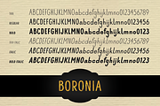 Boronia, a Sans Serif Font by STUDIOWAYS (Thumbnail 6 of 7)