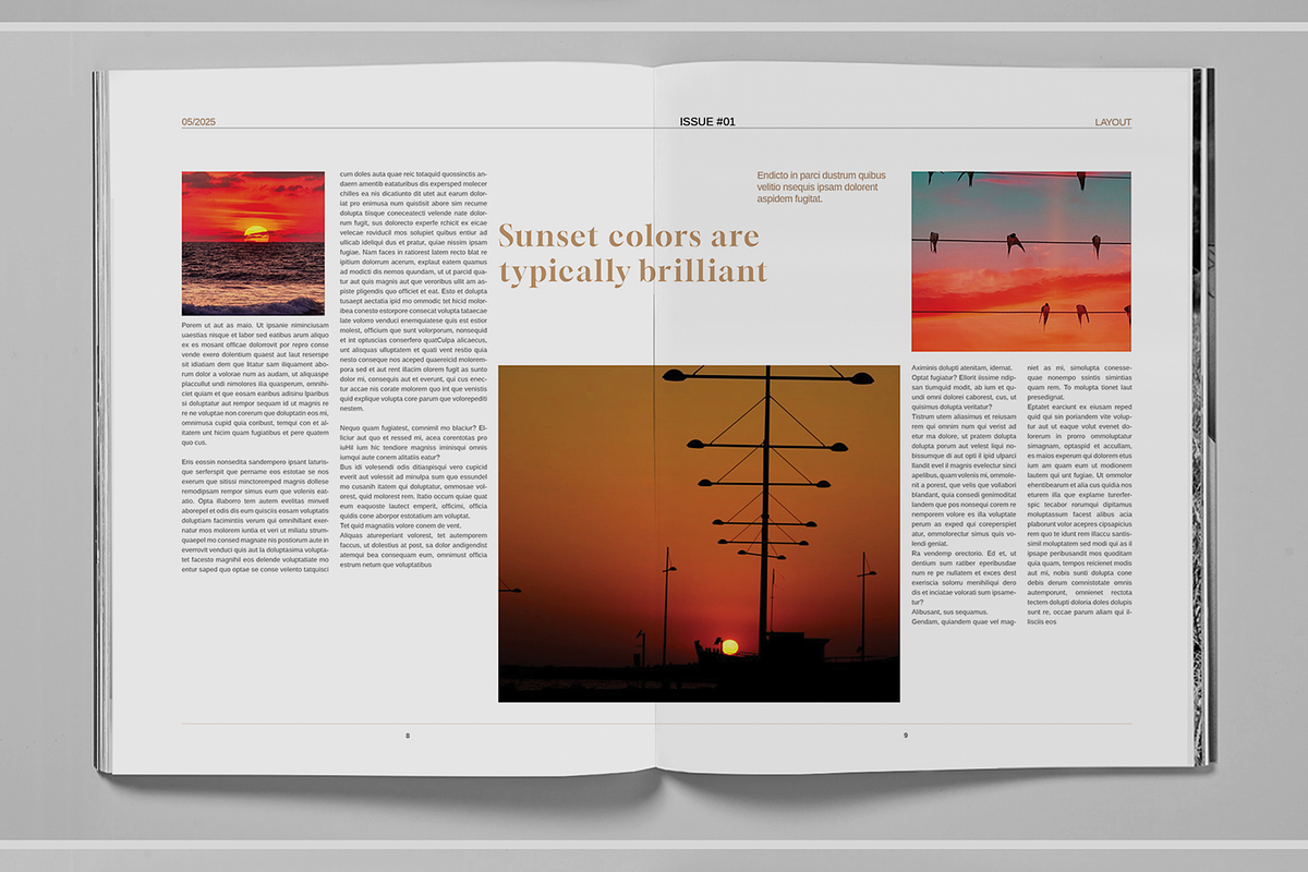 Gold Magazine Brochure Template, a Magazine Template by Boris Cupac (Photo 6 of 7)