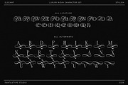 Luxury Nova a Elegant Serif Font, a Serif Font by RantautypeStudio (Thumbnail 16 of 19)