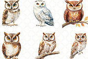 Vintage Owl Clipart, an Illustration by Black Bird Studio (Thumbnail 5 of 6)