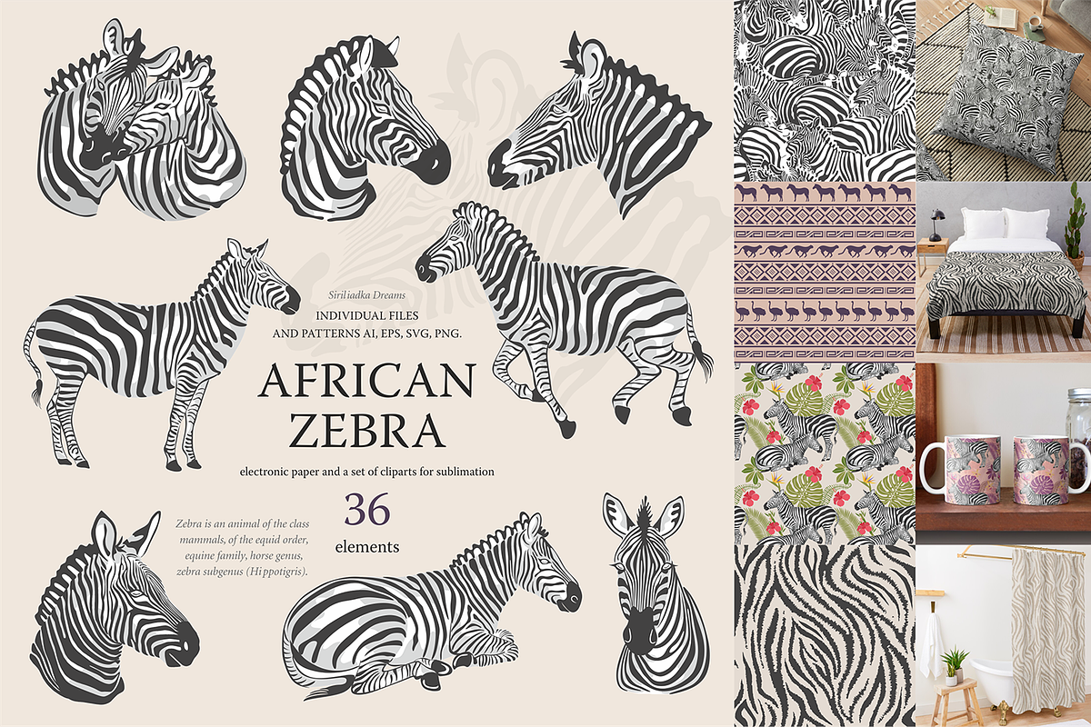 African zebras clipart, Safari Jungl, an Illustration by Siriliadka Dreams (Photo 1 of 6)