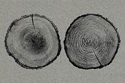26 Large Tree Ring Textures, a Texture Graphic by Offset (Thumbnail 14 of 16)