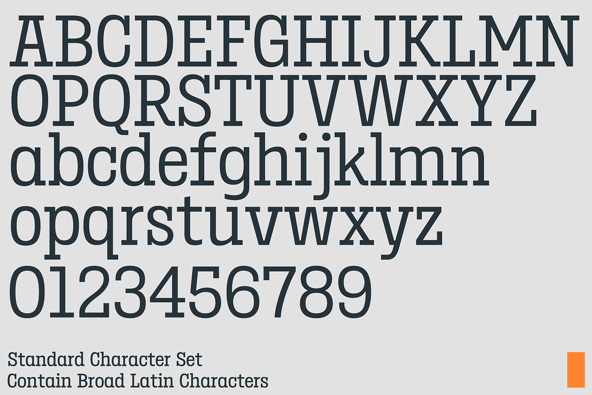 Birdwood; Condensed Slab Serif, a Slab Serif Font by Eko Bimantara (Photo 8 of 13)
