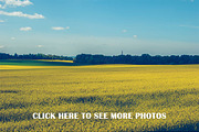 3 x MEGA PHOTO PACK, a Templates & Theme by Zabiegala MP (Thumbnail 14 of 14)