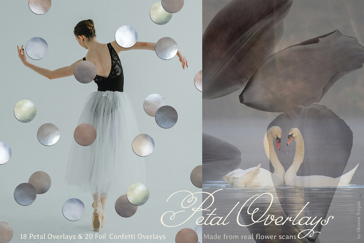 Flower Petal Textures & Foil Overlay, a Texture Graphic by Oksana Trygub (Photo 3 of 28)