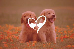 Dog Love Logo, a Branding & Logo Template by Abir Hossain Waffi