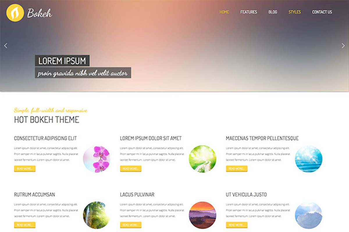 Hot Bokeh, a WordPress Template by hot-themes (Photo 4 of 5)