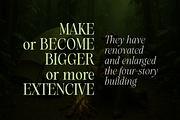 Evolve Early Serif Font Family, a Serif Font by groens (Thumbnail 8 of 15)