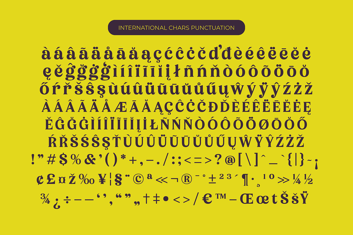 Bikers Groovy Retro Serif Font, a Serif Font by timelesstype.co (Photo 14 of 15)