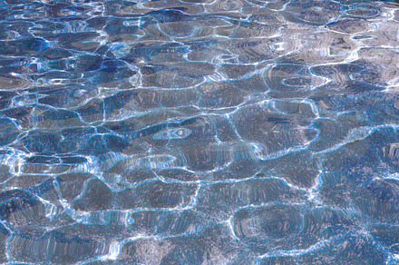 Water stock photo containing water and pond preview 6