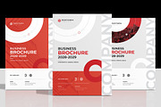 Business Brochure Cover Template, a Brochure Template by Spark_Creative (Thumbnail 13 of 17)
