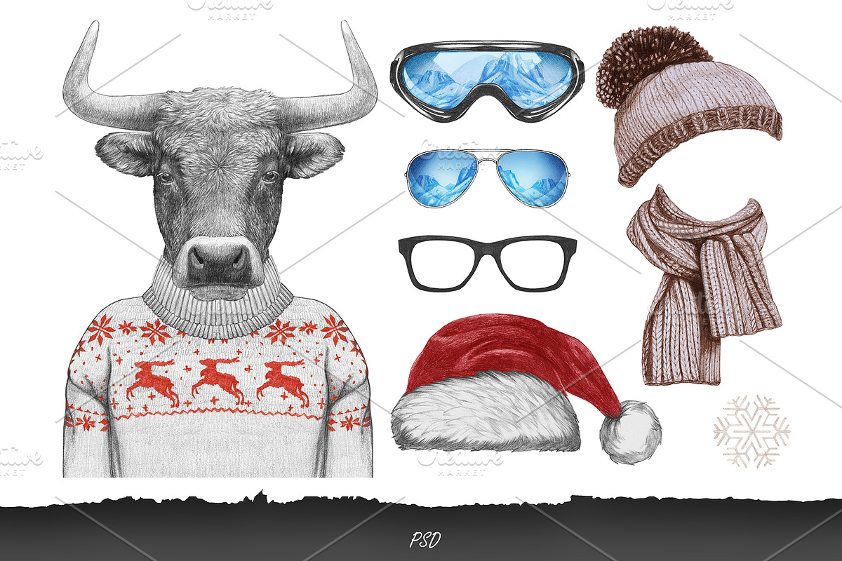 Bull / Wintertime, an Animal Illustration by Victoria_Novak (Photo 2 of 4)
