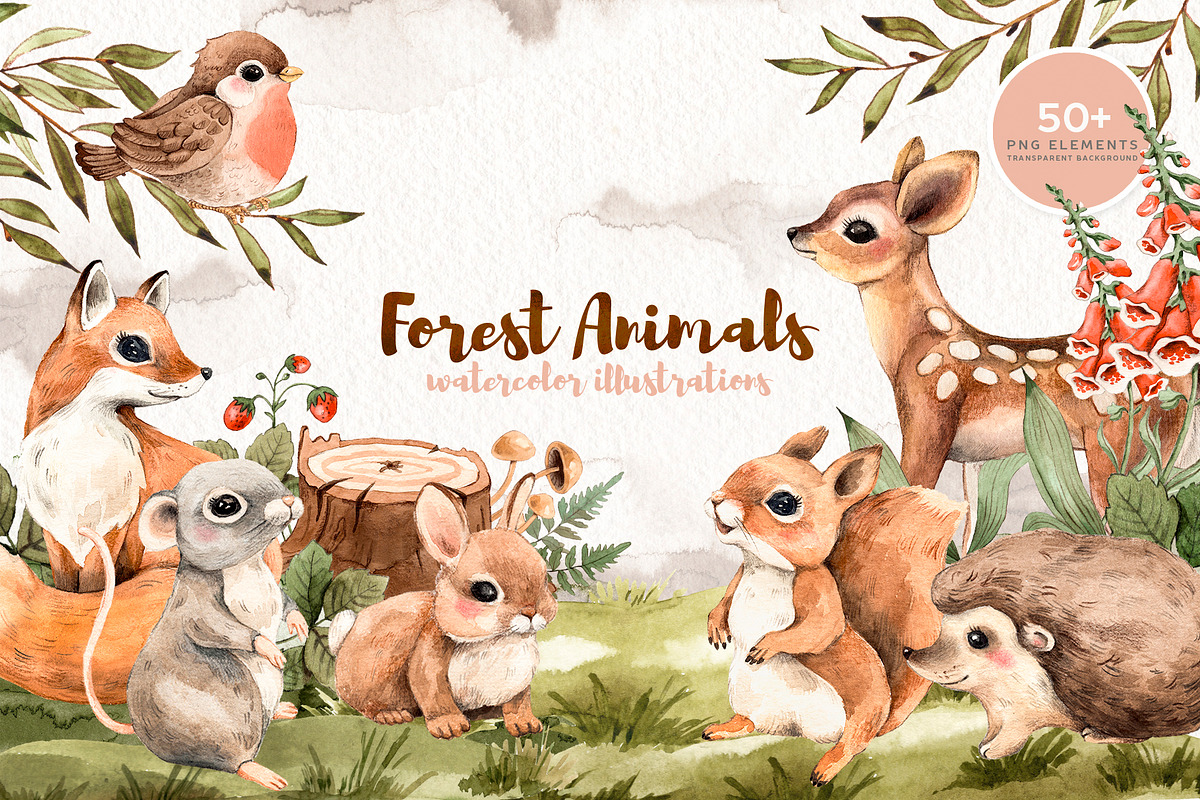 Watercolor Forest Little Animals set, an Animal Illustration by Alamella (Photo 1 of 17)