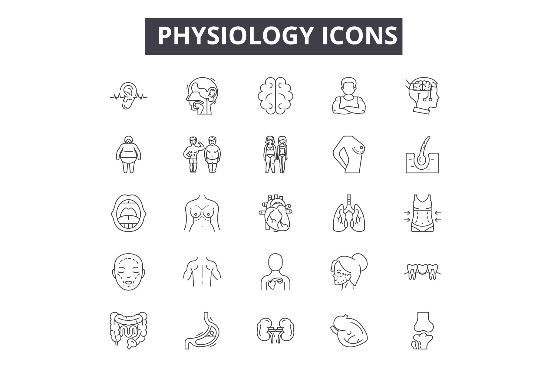 Physiology line icons, signs set, a Healthcare Illustration by urban icon