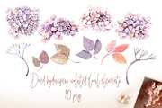 Snake Hydrangeas Garden Clipart, a Decorative Illustration by Shabbypie (Thumbnail 5 of 20)