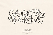 Garland Hand Drawn Ornamental Font, a Handwritten Font by Madeline ODonoghue Design (Thumbnail 8 of 9)