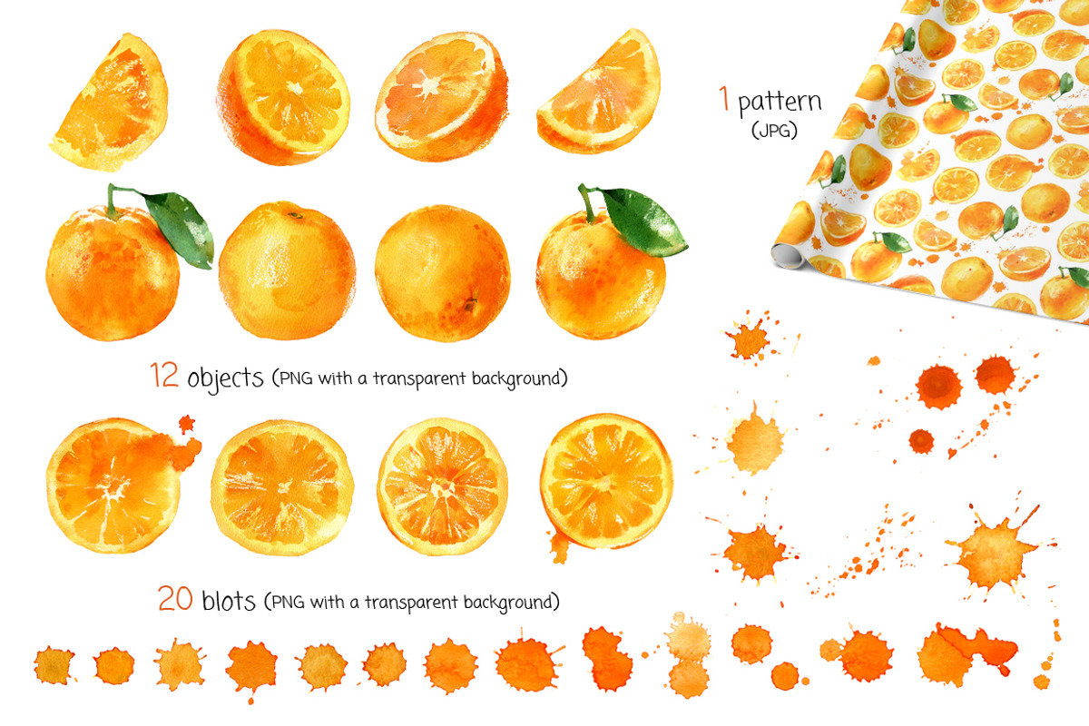 Watercolor oranges, a Food Illustration by ognivo (Photo 2 of 3)