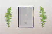 Portfolio Template Indesign Vol. 3, a Brochure Template by Tiempo co (Thumbnail 10 of 10)