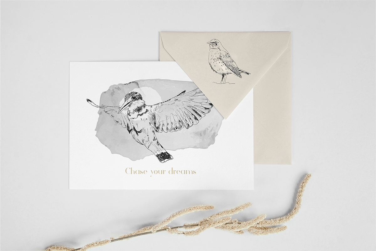 Birds of Africa Illustrations, a Decorative Illustration by CL Creative Studio (Photo 5 of 14)